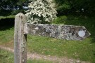 Lichen On Sign, Dartmoor
